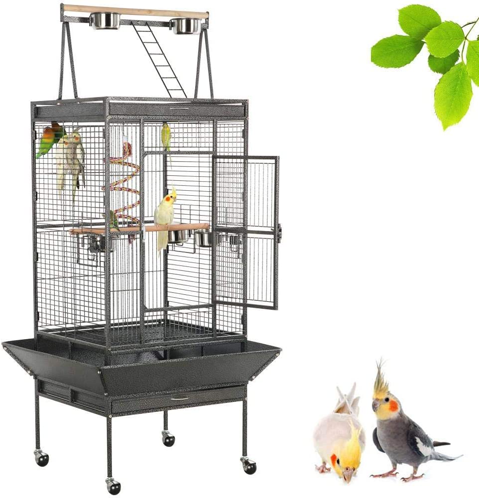 Best Bird Cages For Conures 2020