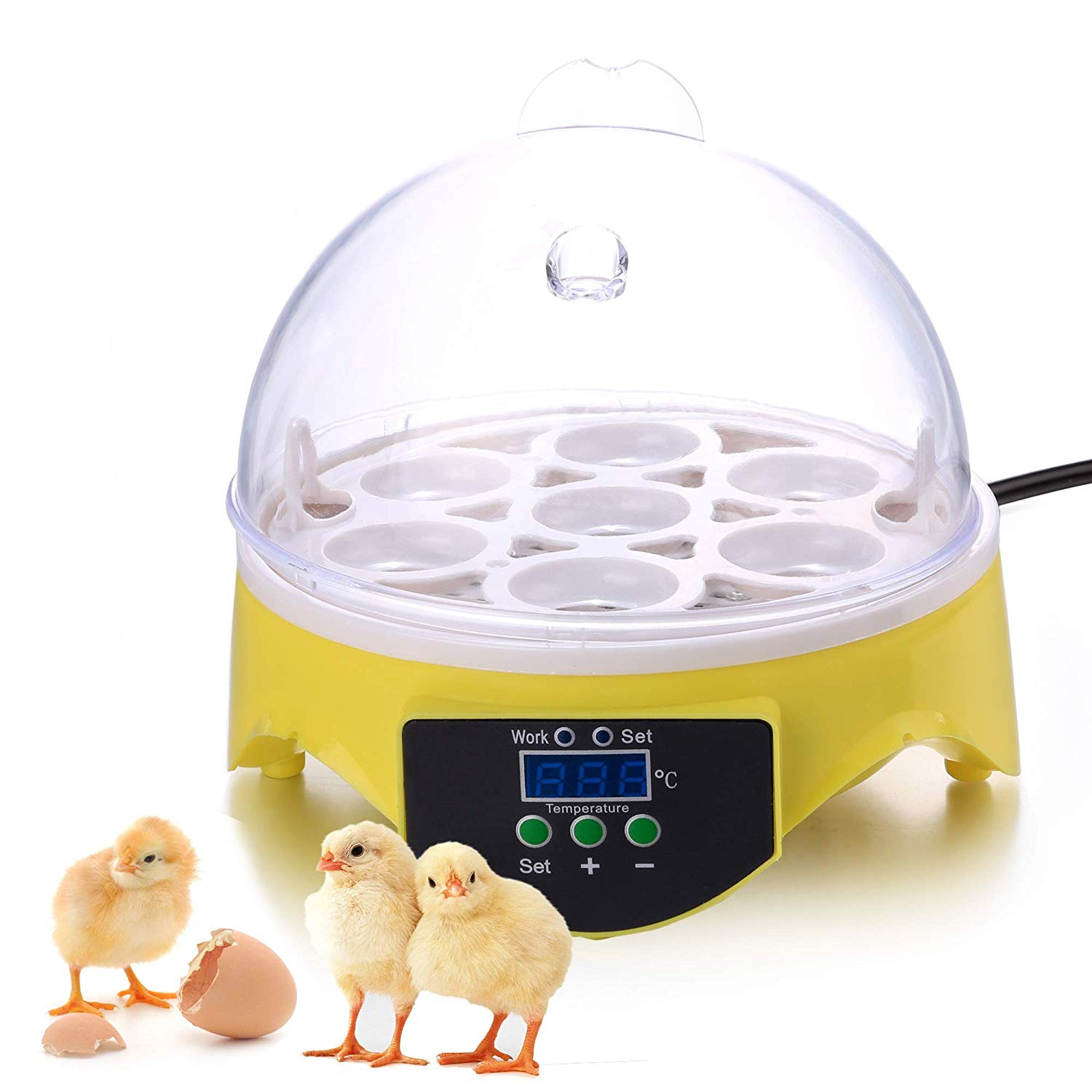 Best Incubators For Chickens 2020