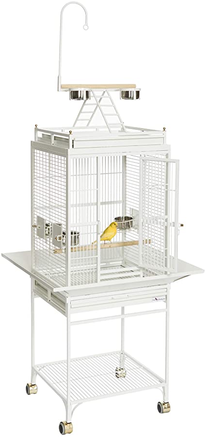 Importance of Quality Bird Cages and Their Advantages