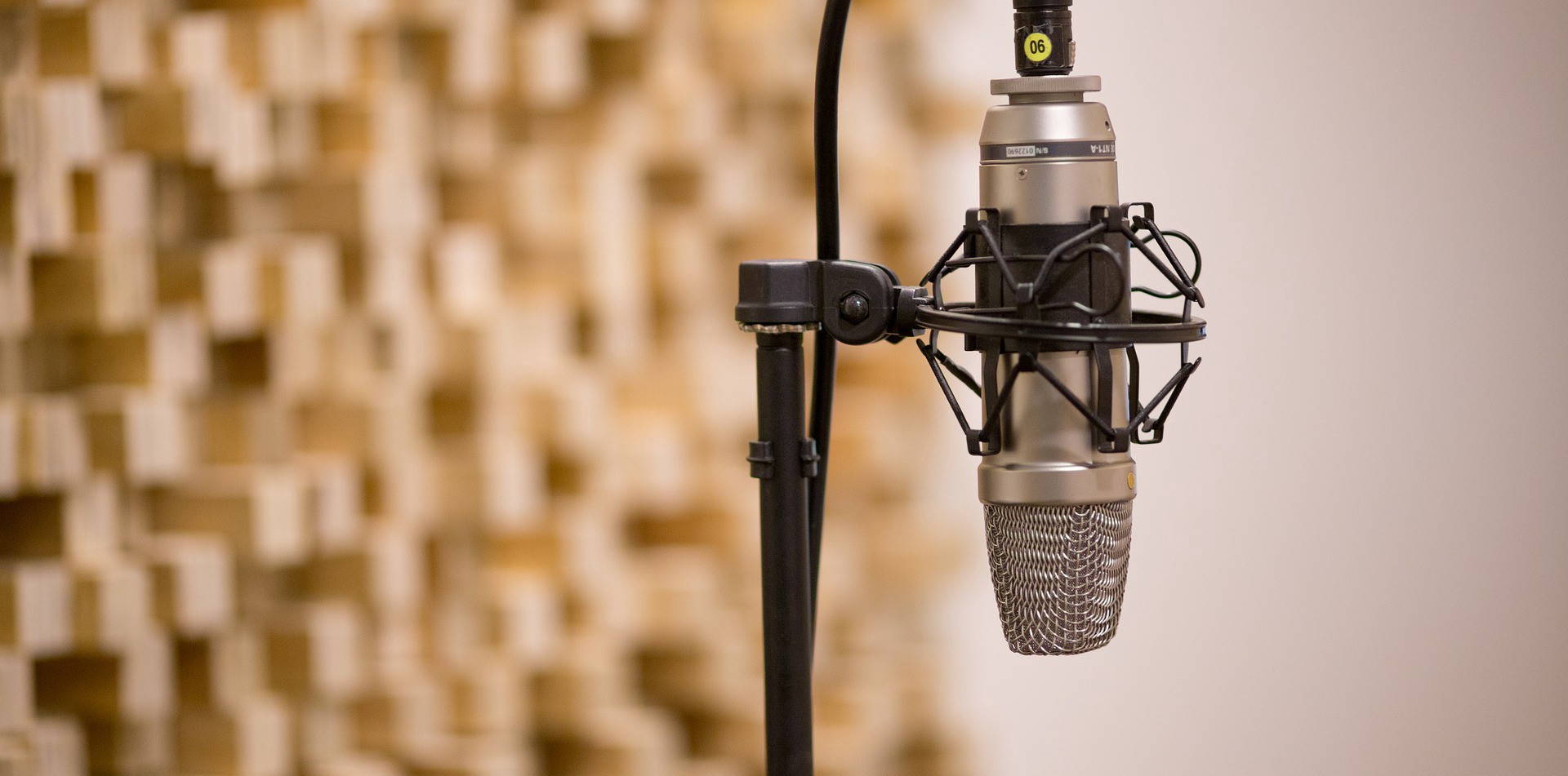 How to Choose the Best Microphone?